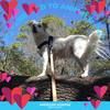 susanwilson821